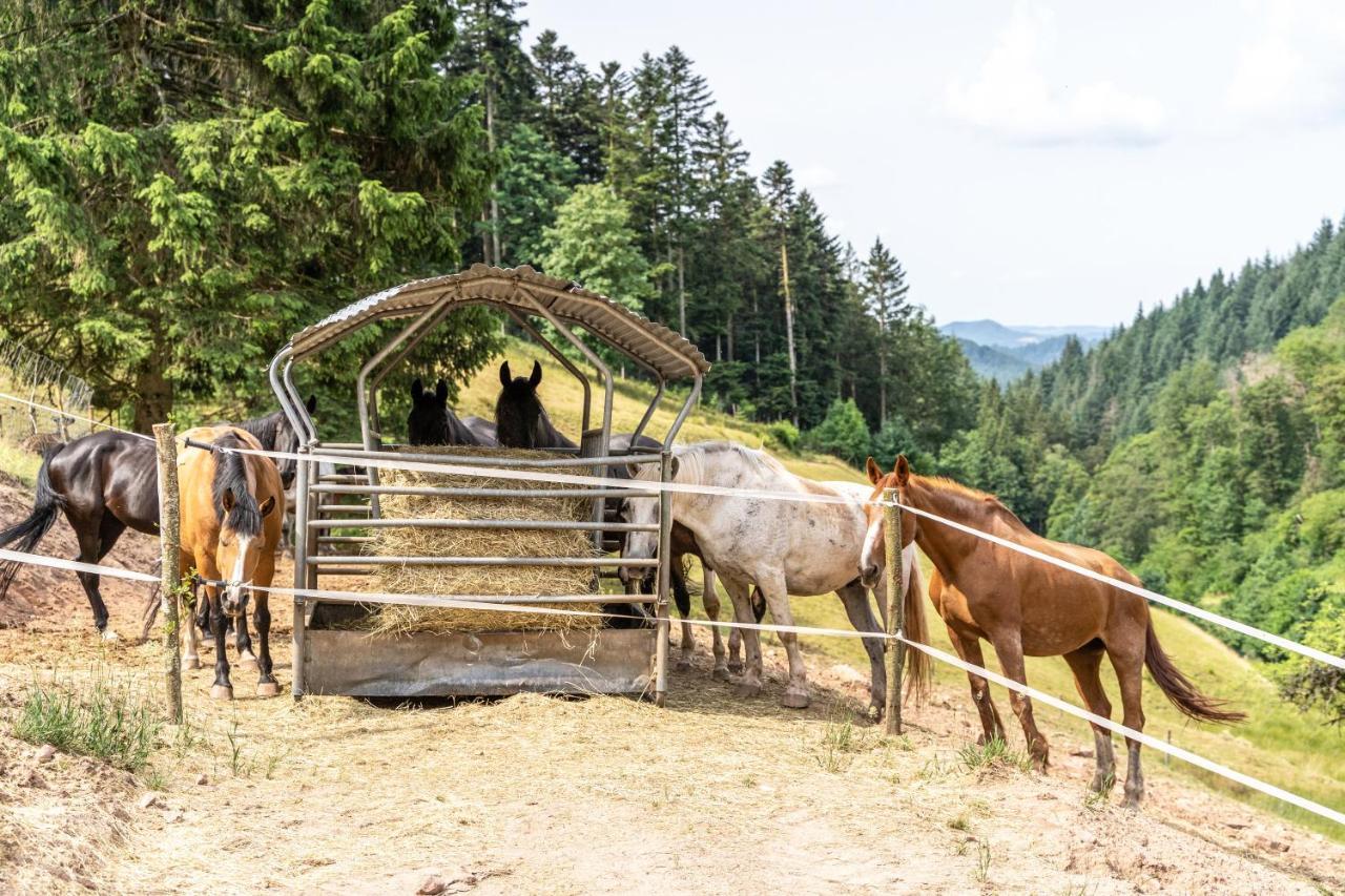 Ferienhaus Giessler Nordrach Kültér fotó