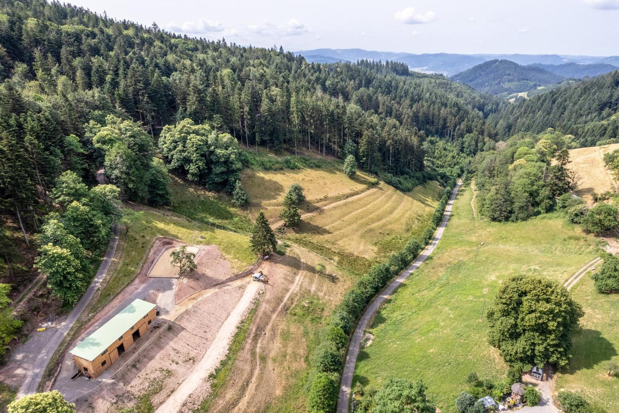 Ferienhaus Giessler Nordrach Kültér fotó